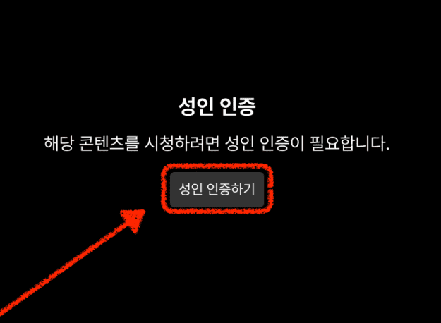 쿠팡플레이 성인인증 연령인증 바로가기 (www.coupangplay.com)